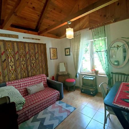 Domek Nad Poranna Rosa Garbatka-Letnisko Εξωτερικό φωτογραφία